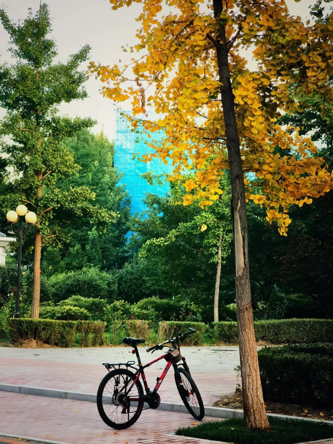 1c649df8c96443ba8351a5a35d85a50a.jpg 1c649df8c96443ba8351a5a35d85a50a.jpg