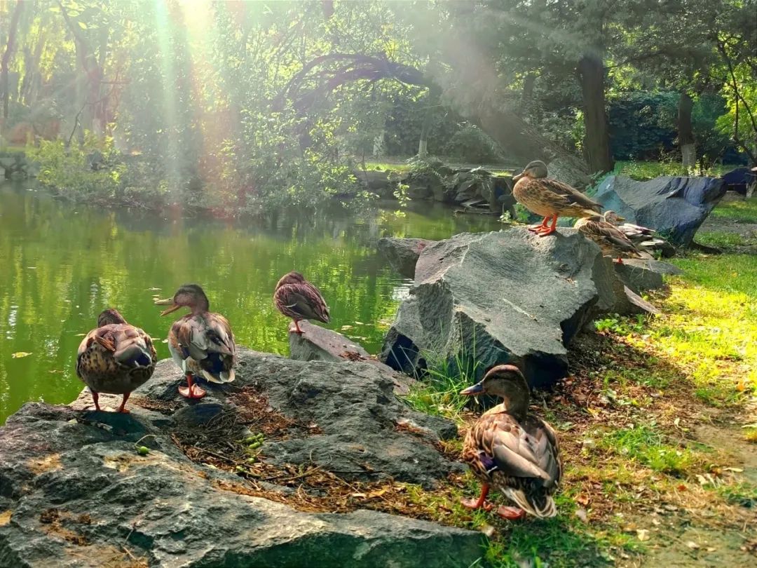 4aa112e6ef2b41b1929d4162c6c20b4b.jpg 4aa112e6ef2b41b1929d4162c6c20b4b.jpg