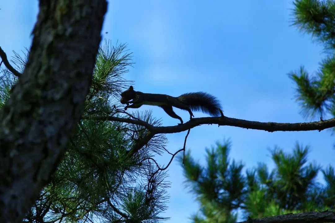 552bdf107d024e65b32ed825b279f297.jpg 552bdf107d024e65b32ed825b279f297.jpg