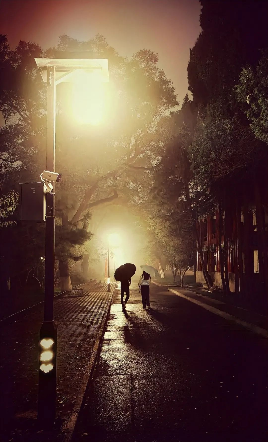 82014e4379c6466e873d3779e2f14727.jpg 82014e4379c6466e873d3779e2f14727.jpg